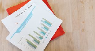 allotissement des marches publics