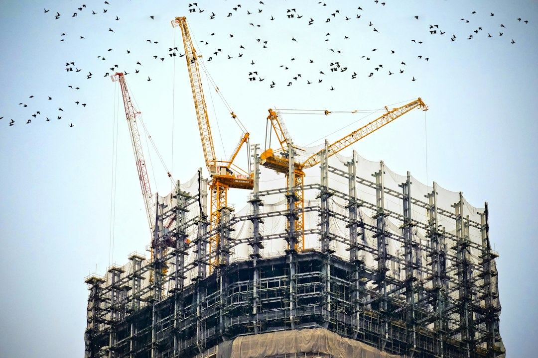 Grue de chantier au-dessus d'un ouvrage public