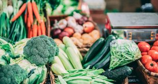 Fruits et légumes pour une restauration scolaire bio